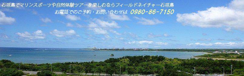 {ǘp]ށB
